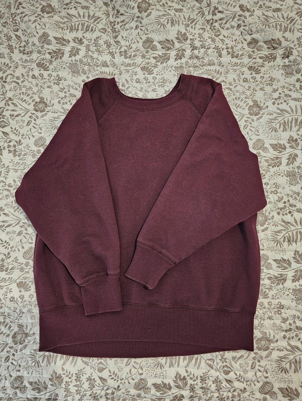 Aerie Sweatshirt